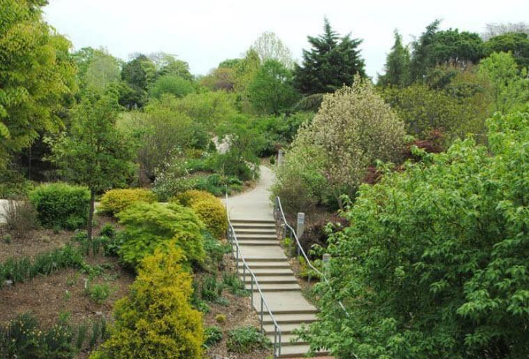 JC Raulston Arboretum, United States